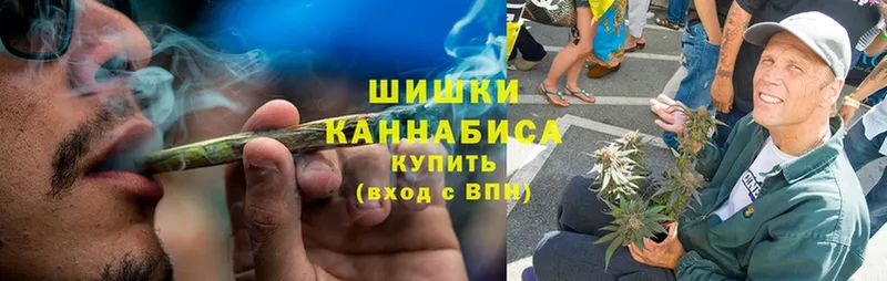 сайты даркнета официальный сайт  Электрогорск  Конопля White Widow  MEGA рабочий сайт 